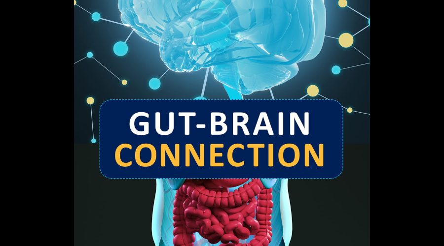 gut-brain-connection-cropped